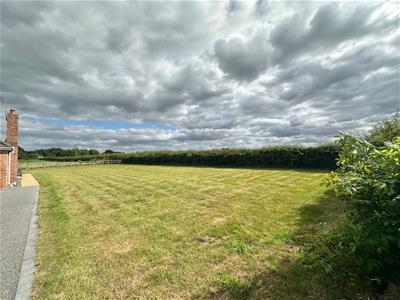 Picture 29